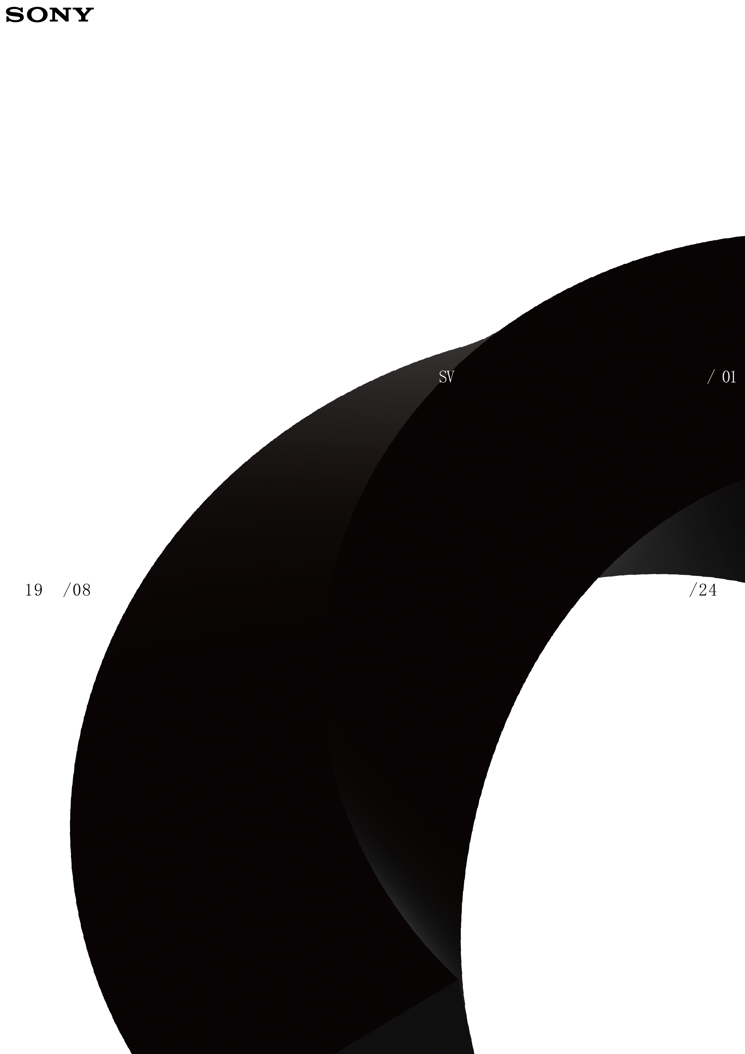 Diagonal black form with spatial typography and SV / 01 notation